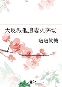 《大反派他追妻火葬場》