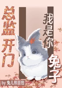 《总监开门,我是你兔子》