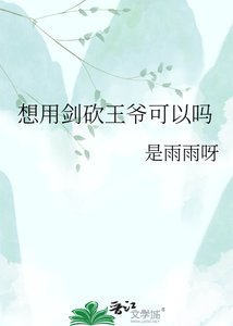 《想用剑砍王爷可以吗》