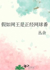 《(网球王子同人)假如网王是正经网球番》