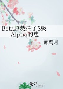 《Beta總裁揣了S級Alpha的崽》