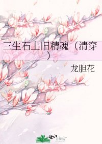 《三生石上舊精魂(清穿)》