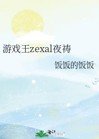 《遊戲王zexal夜禱》