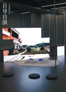 《自導自演》