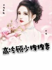 《高冷顾少拽拽妻》