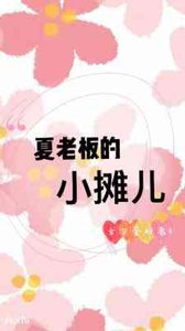 《夏老闆的小攤兒》