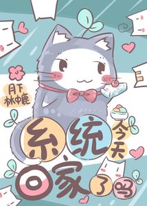 系统今天回家了吗