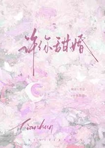 《许你甜婚》