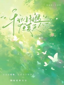 《我们相遇在夏天》