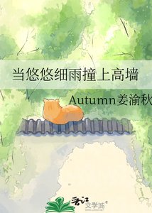 《当悠悠细雨撞上高墙》