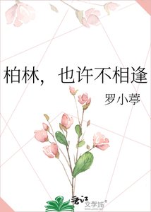 《柏林也許不相逢》