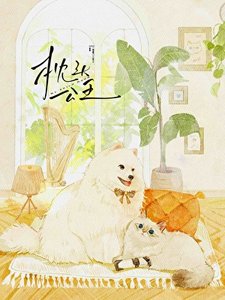 《枕頭公主》