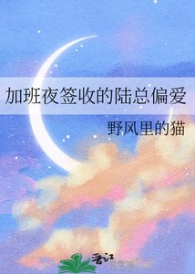 《加班夜簽收的陸總偏愛》