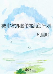 《被稽核阻斷的臥底計劃》