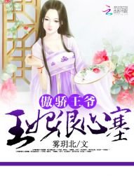 《傲嬌王爺:王妃很心塞》