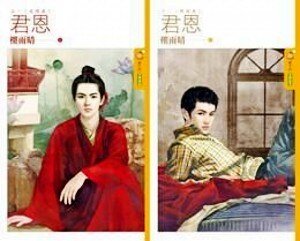 《君恩(出书版)》