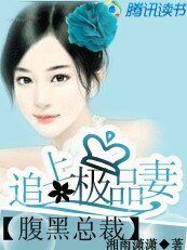 《腹黑總裁:追上極品妻》