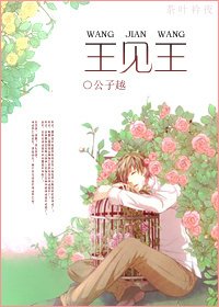 （BG/继承者们同人）综韩剧之王见王