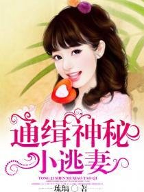 《通缉神秘小逃妻》